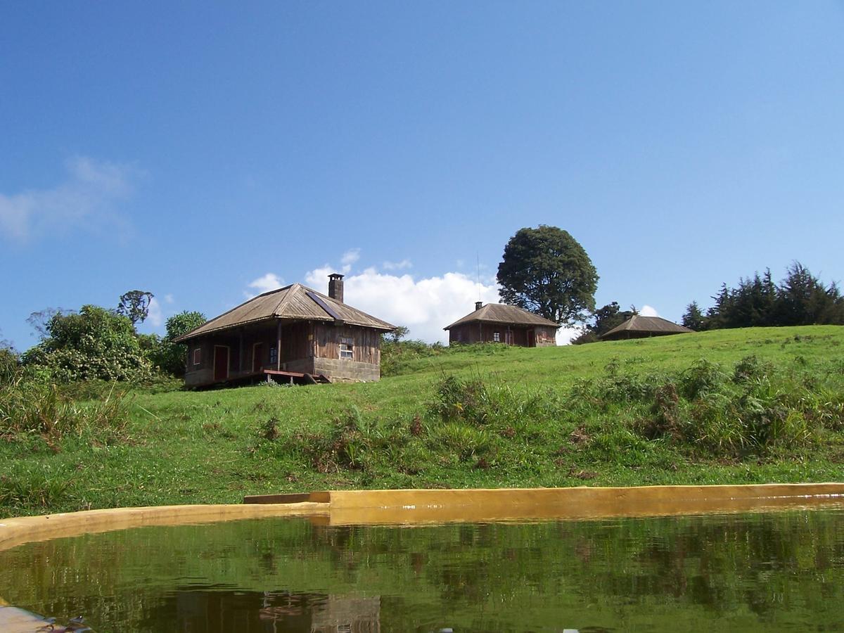 Castle Forest Lodge Mount Kenya National Park Exterior foto